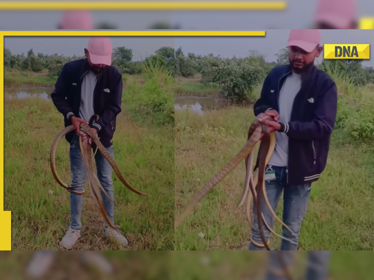 Boy grabs three snakes with bare hands, viral video leaves netizens terrified