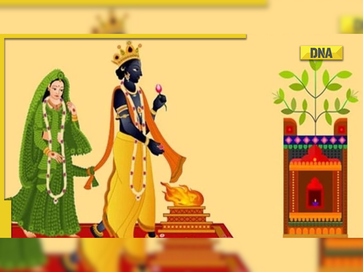 Tulsi vivah 2022: Significance, date, time, puja vidhi 