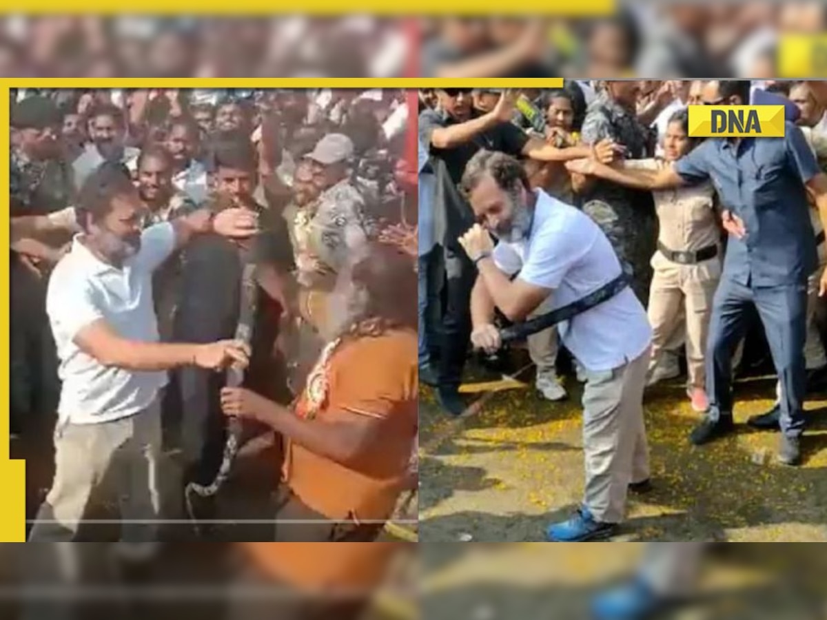 Bharat Jodo Yatra: Rahul Gandhi whipped himself in Telangana, watch video