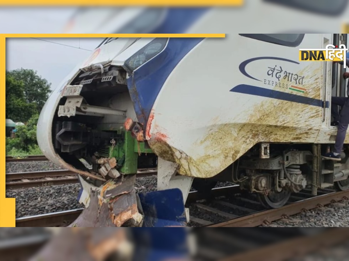 Vande Bharat Express Accident: वंदे भारत से टकराए मवेशी तो RPF ने ग्राम पंचायतों के खिलाफ लिया यह एक्शन