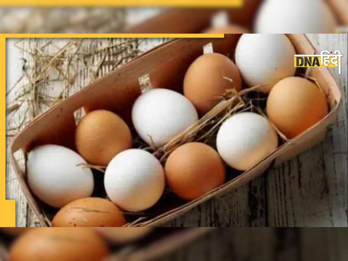 Duplicate Egg: सावधान! मार्केट में आने लगे हैं नकली अंडे, कहीं आप भी तो नहीं खा रहे? ऐसे करें पहचान