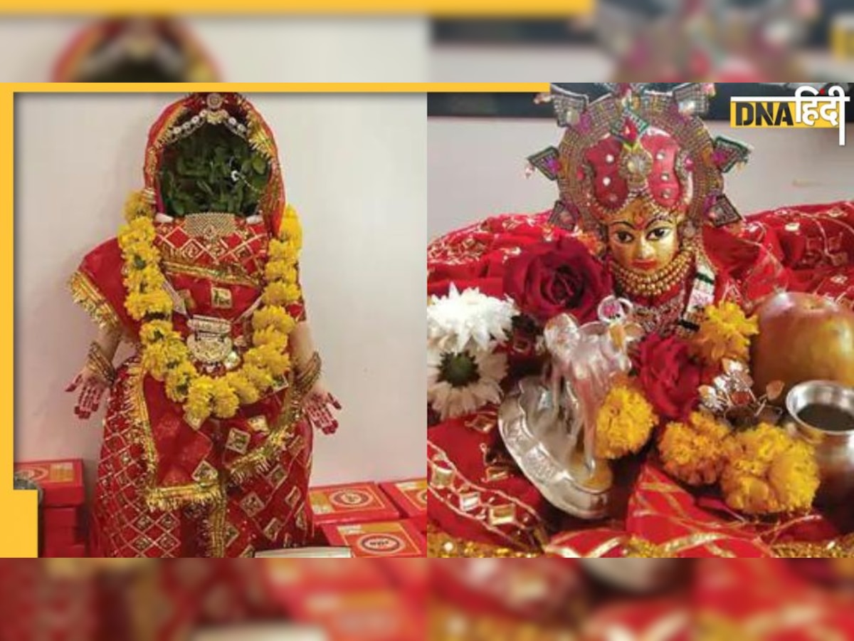 Tulsi Vivah: राजस्थान के लग्जरी होटल में आज होगा तुलसी विवाह, सूरत से ठाकुर जी लाए बारात