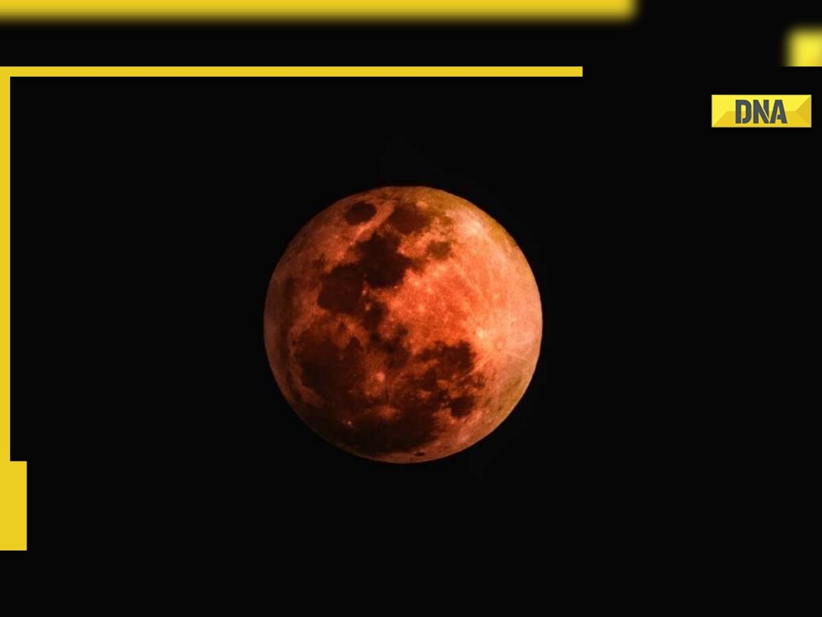 Total lunar eclipse on November 8: How is it different from partial and solar lunar eclipses?