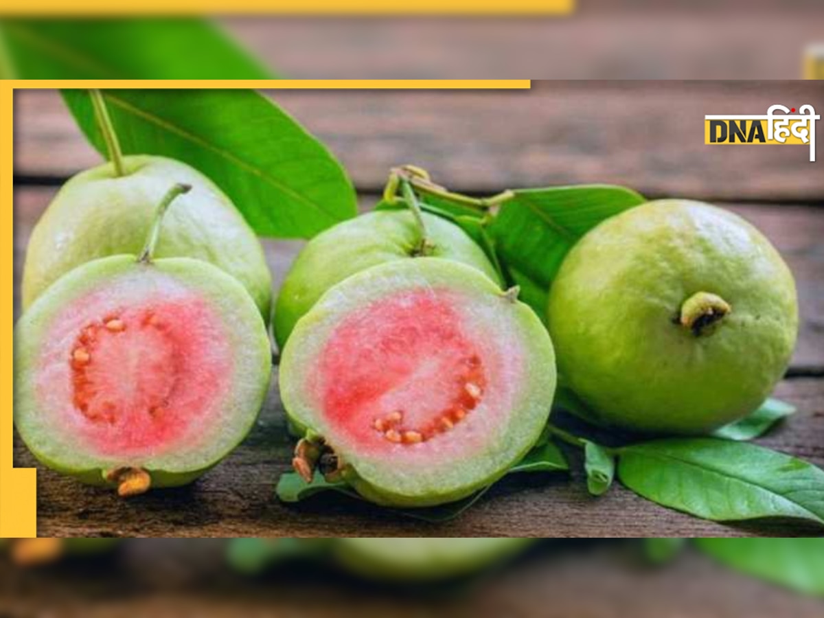 Guava Benefits: ठंड में जमकर खाएं अमरूद, नहीं होगी सर्दी-खांसी, ये भी हैं फायदे 