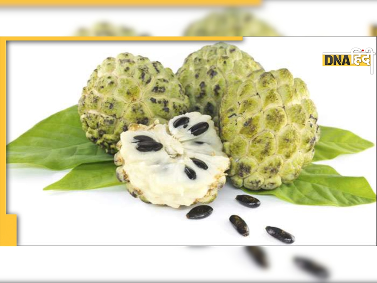 Custard Apple Benefits: सीताफल के मीठे से कंट्रोल होती है डायबिटीज, बीपी भी रहता है सही 