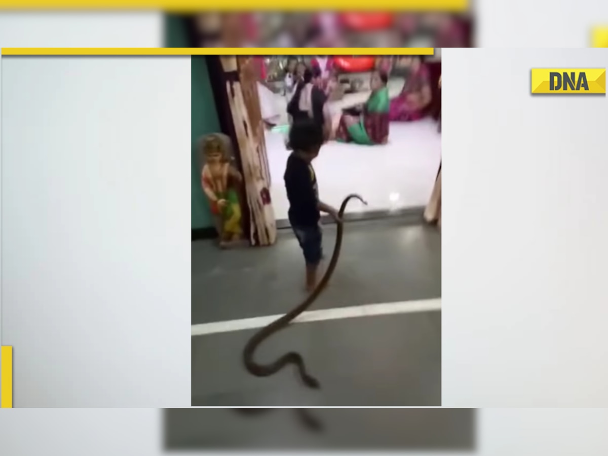 Two-year-old boy plays with giant snake in viral video