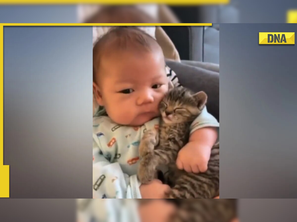 Aww! Viral video of toddler cuddling with cat is too cute to miss