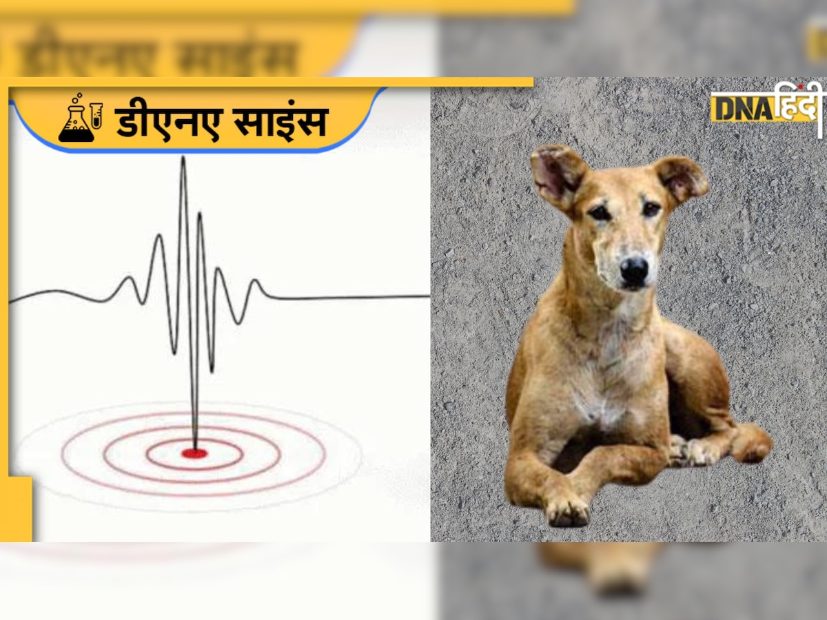 Earthquake Facts: भूकंप आने से पहले ही जानवरों को कैसे हो जाता है एहसास? समझिए साइंस