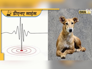 Earthquake Facts: भूकंप आने से पहले ही जानवरों को कैसे हो जाता है एहसास? समझिए साइंस