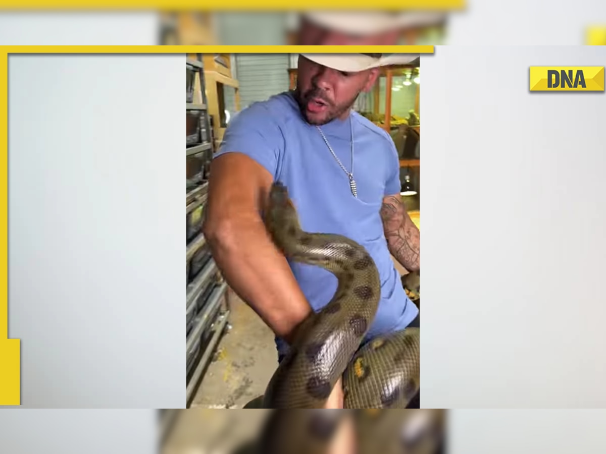 Massive Anaconda bites man in shocking viral video, internet is terrified