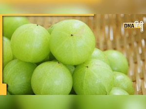 Amla Khane Ke Fayde: सर्दियों में खाएं आंवला का मुरब्बा, जूस, कैंडी, नहीं होगी पेट की कोई भी बीमारी 