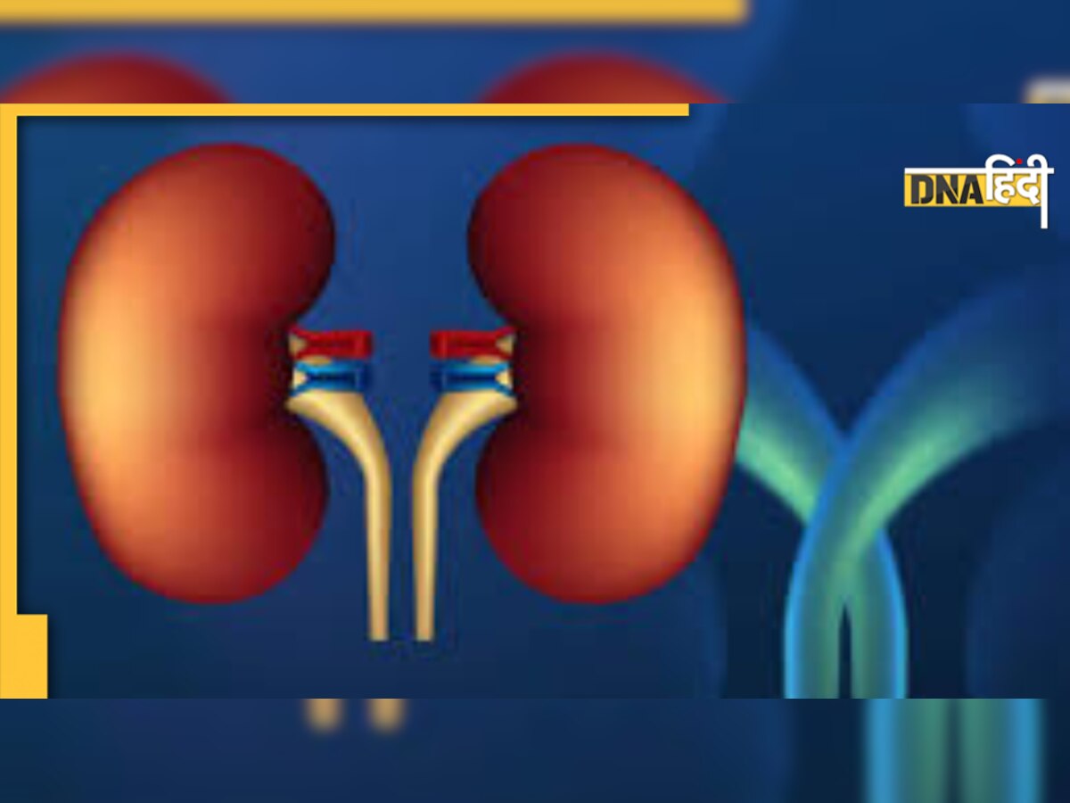 Kidney Problem Sign: मुंह और सांस से आने लगे बदबू तो समझ लीजिए किडनी में हो रही है दिक्कत