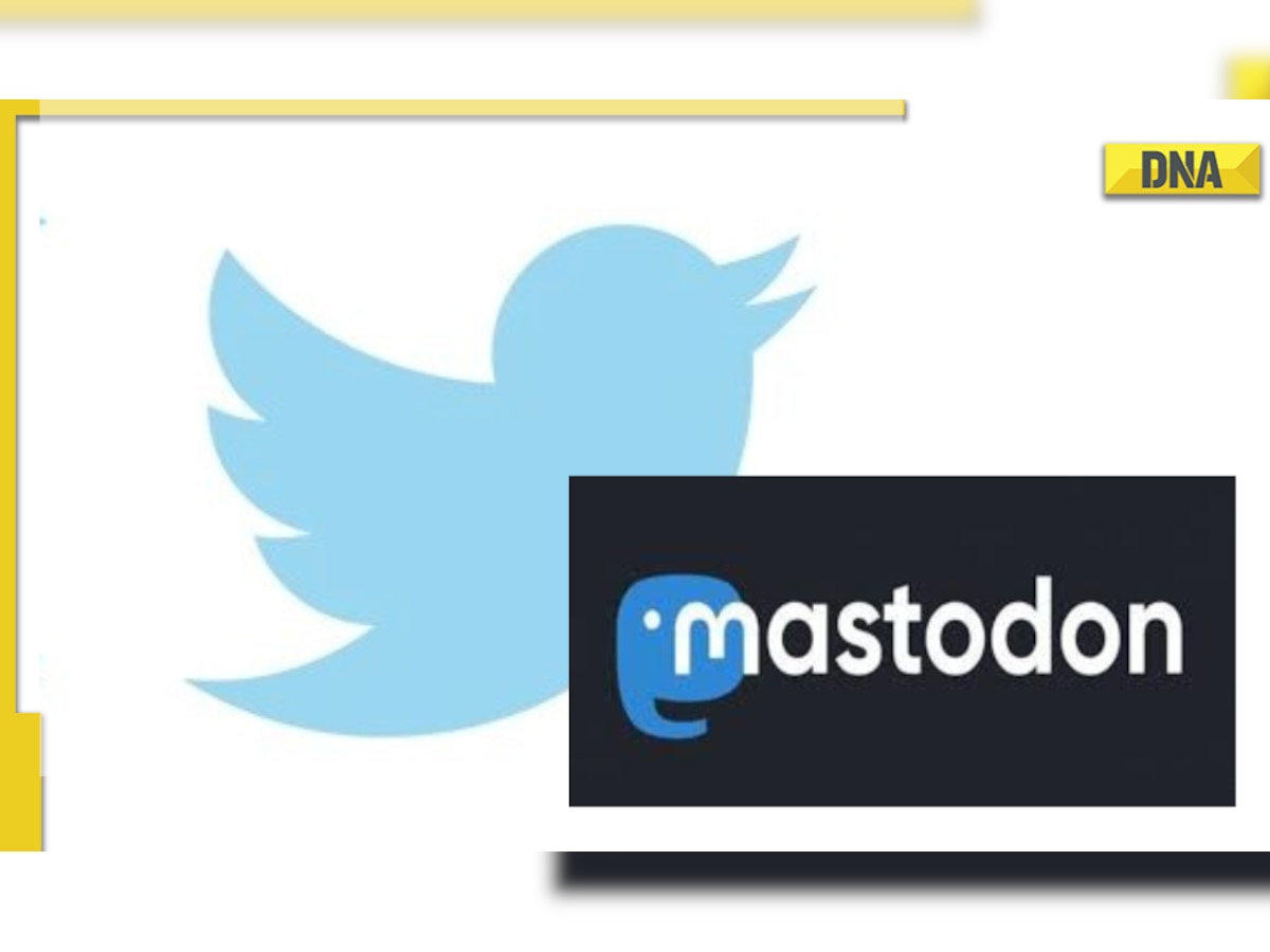 After Twitter takeover, users moving to THIS alternative app