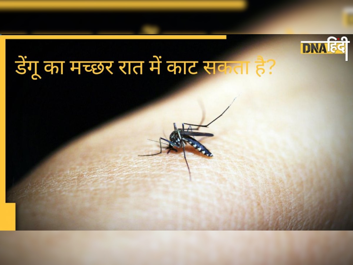 Dengue Fact Check: डेंगू का मच्छर क्या केवल दिन में ही काटता है? पढ़ लें ये रिपोर्ट दूर हो जाएगा सारा भ्रम