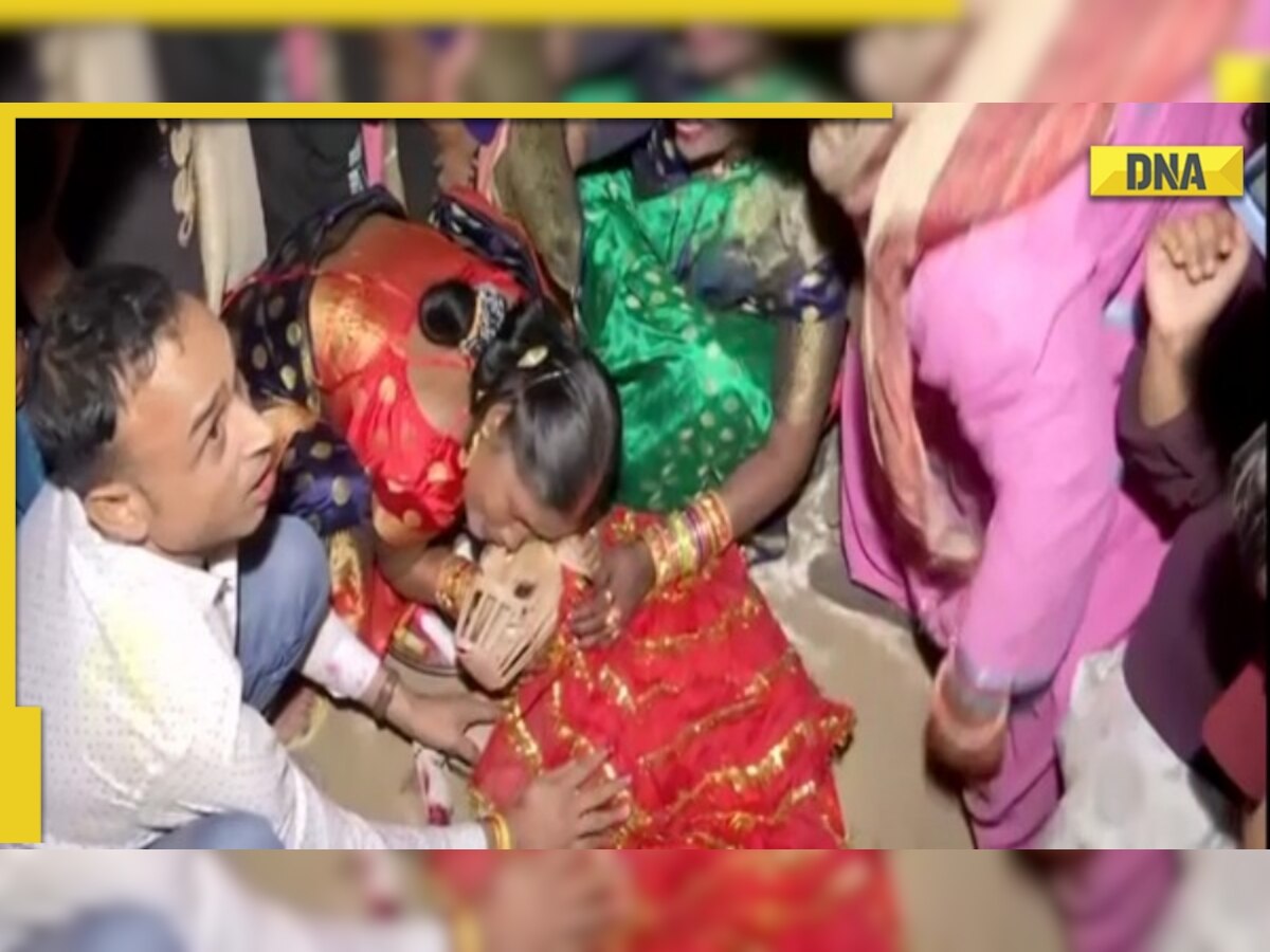 Sheru weds Sweety as Gurugram couple conducts marriage with traditional rituals for pet dogs