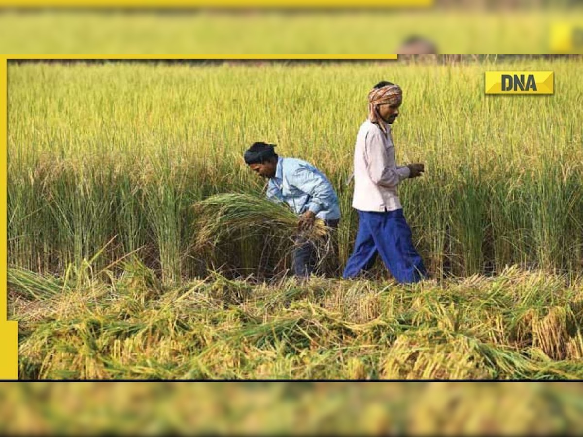 PM Kisan Yojana: Farmers to receive wonderful gift from Centre ahead of PM Kisan's 13th installment