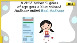 UIDAI update: What is Blue Aadhaar/ Baal Aadhaar? Know how to apply aadhaar card for children