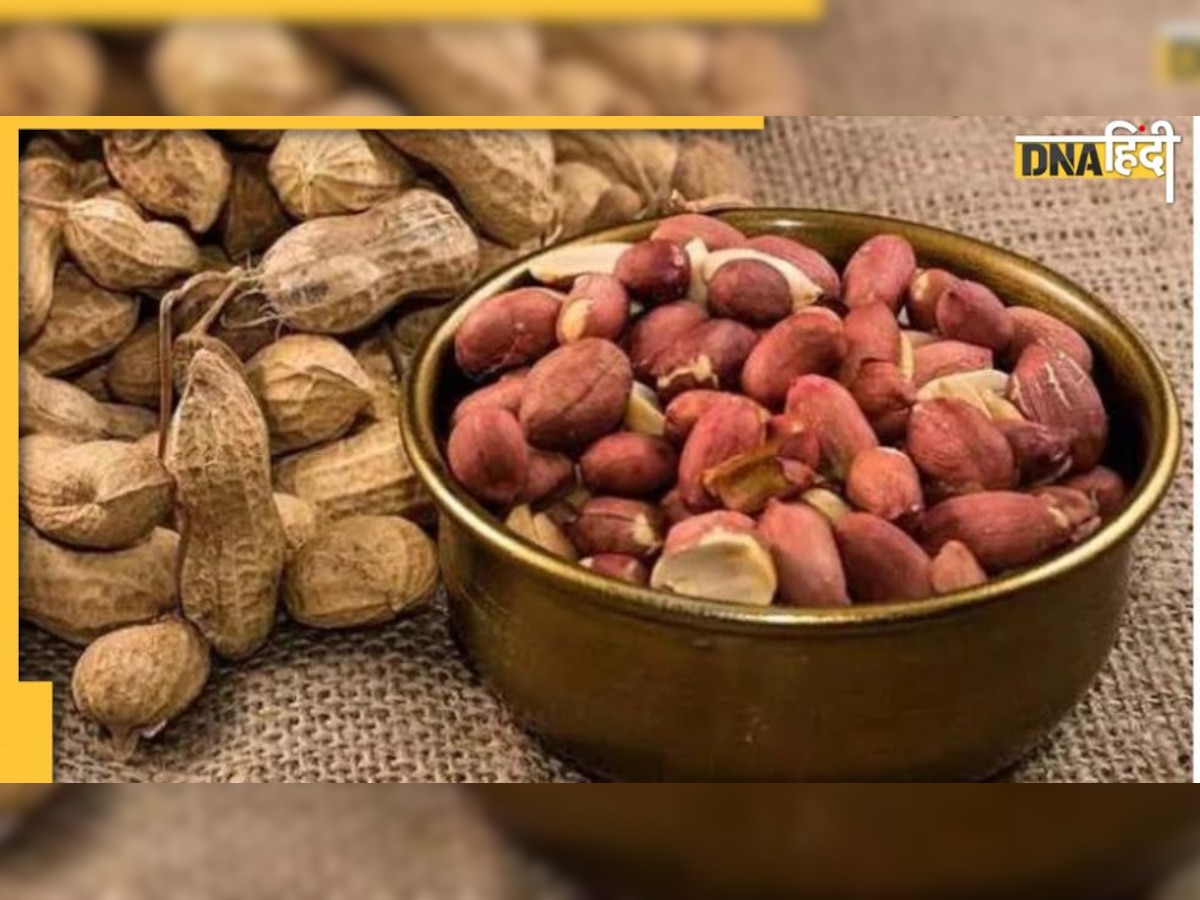 Peanut Side Effects: इन 8 बीमारियों में मूंगफली खाना पहुंचा देगा हॉस्पिटल, ये लोग रहें ज्यादा सतर्क