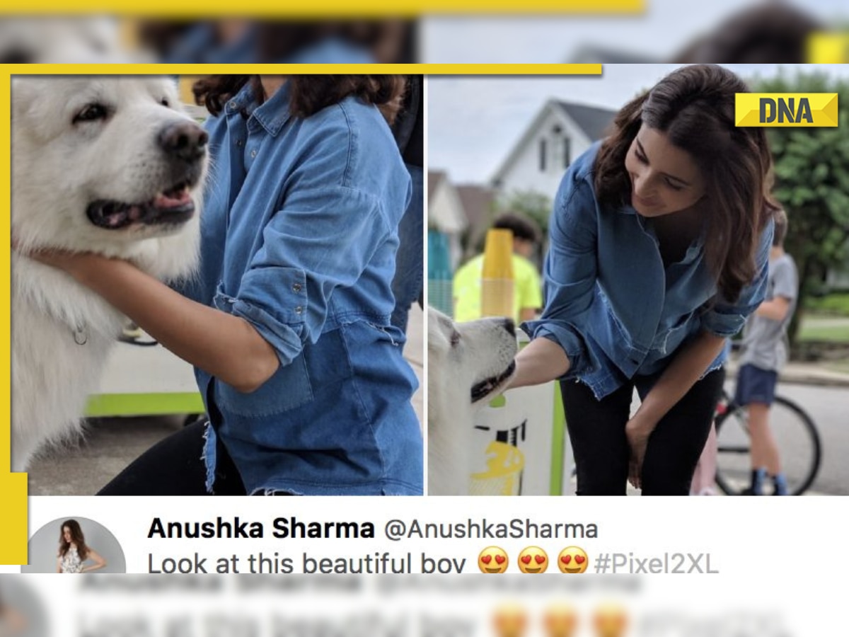 Elon Musk to remove Twitter feature that triggered Anushka Sharma, Gal Gadot's trolling