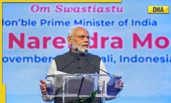 'Huge difference between pre-2014 and post-2014 India': PM Modi tells Indian diaspora in Bali 