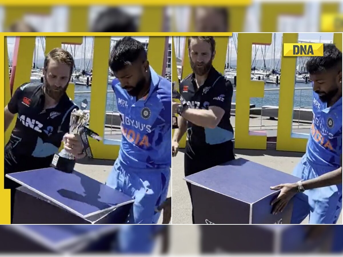 IND vs NZ: Kane Williamson shows lighting quick reflexes, saves series trophy from falling down; watch