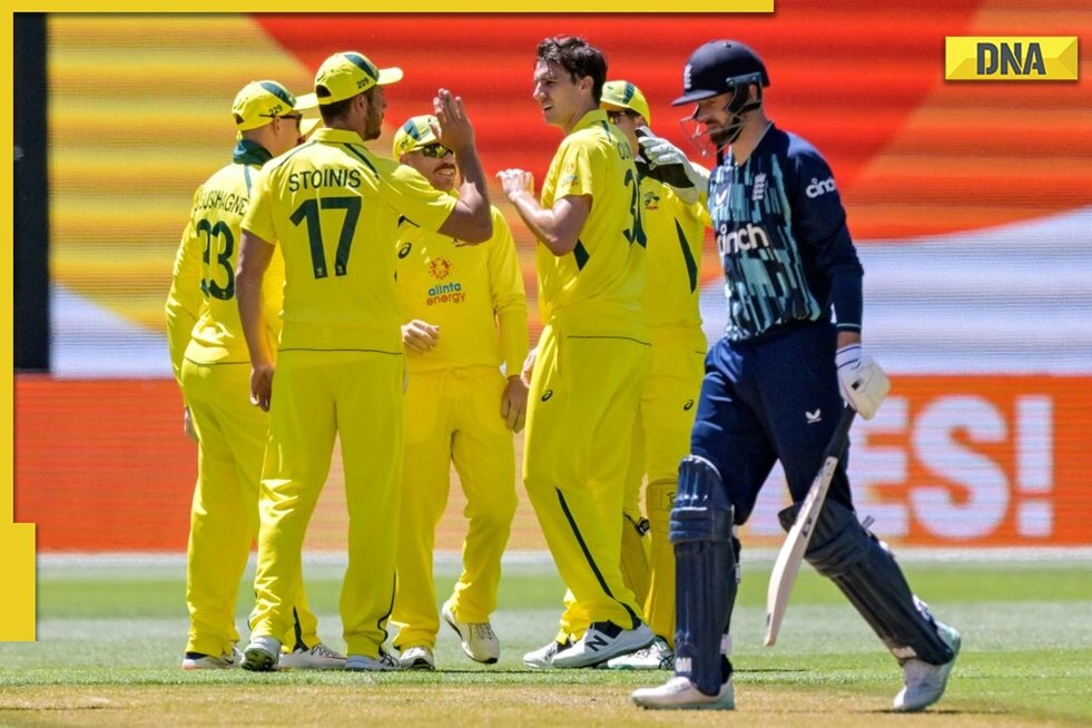 AUS vs ENG 1st ODI Dawid Malans century in vain, Warner-Smith shine as Australia beat England by 6 wickets