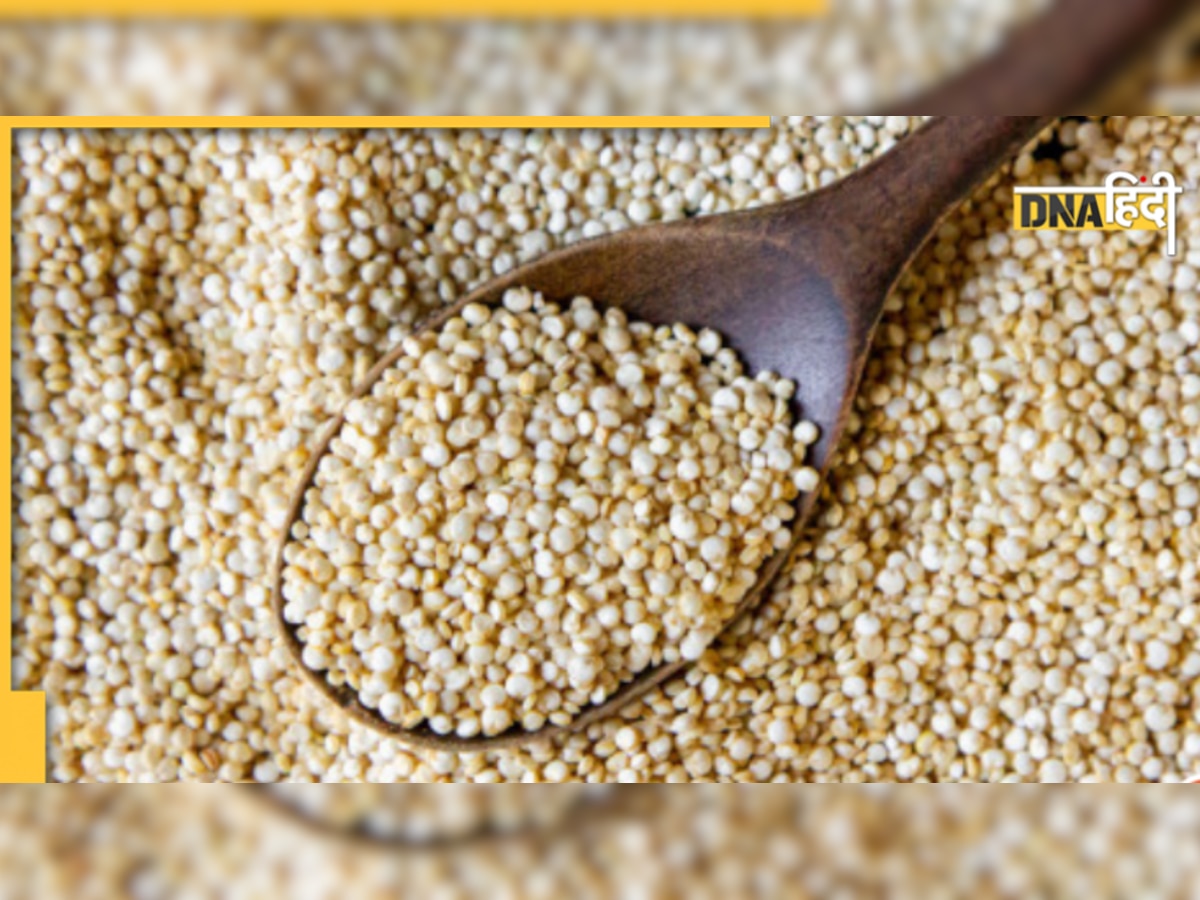 Quinoa Ke Fayde: किनुआ की खिचड़ी, उपमा खाने से पेट हो जाएगा अंदर, ये है बनाने की रेसिपी