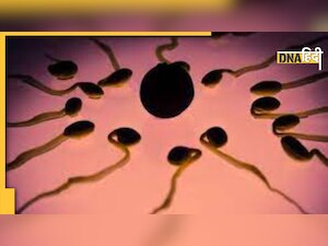 Drop in Sperm Count: भारत के पुरुषों की कम हो रही प्रजनन क्षमता, इन ...