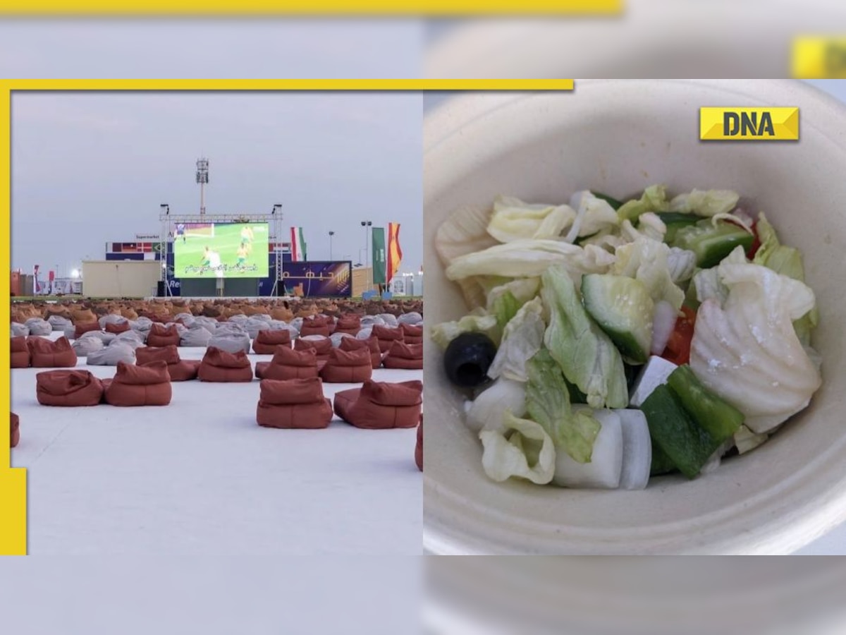 FIFA World Cup 2022: Fans annoyed with food options, served Rs 1100 beer, Rs 900 salad, Rs 500 nachos