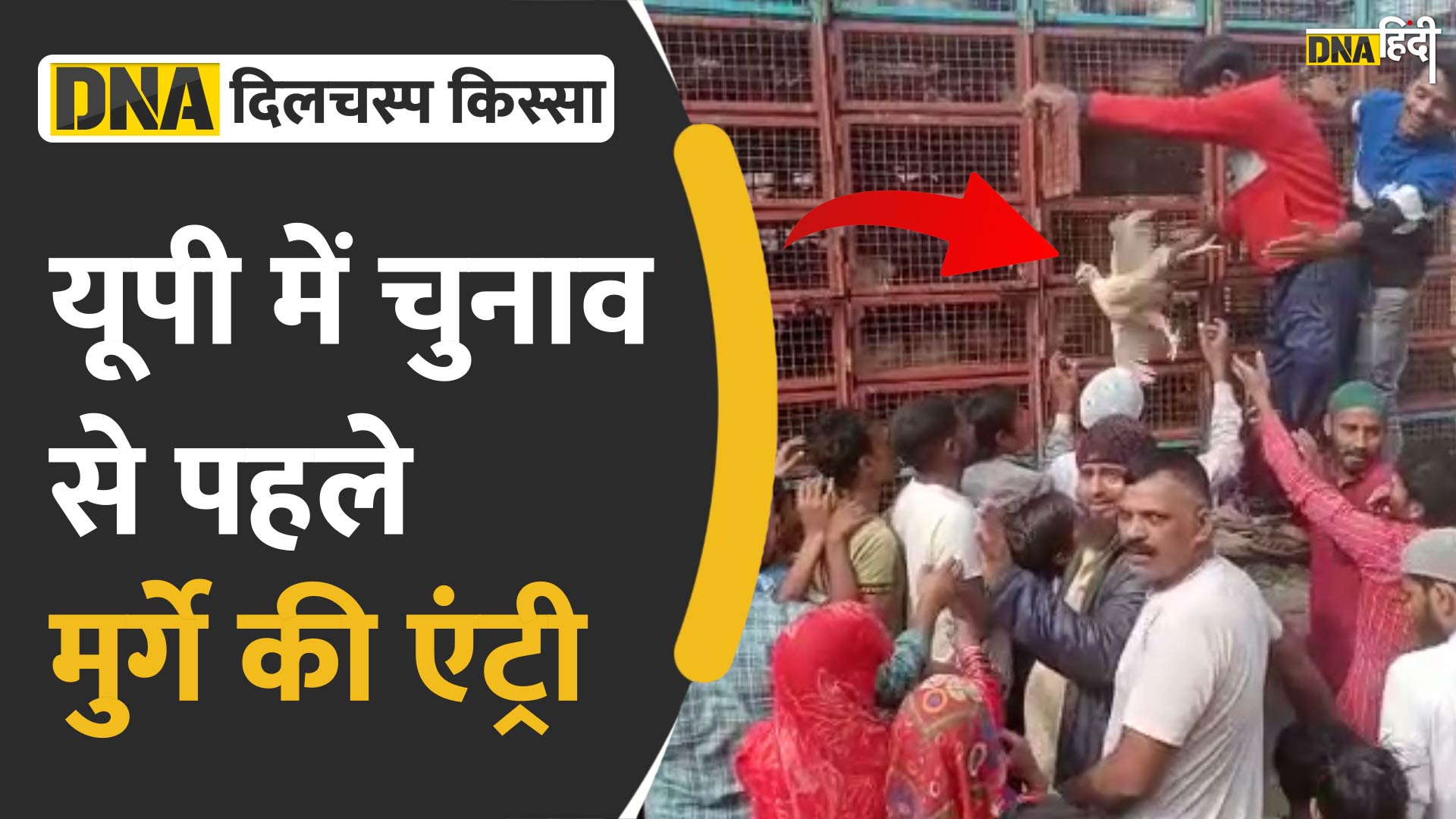 VIDEO: नेताजी ने चुनाव से पहले ही शुरू कर दी वोट पाने की जद्दोजहद, फ्री में बांटे लोगों को मुर्गे