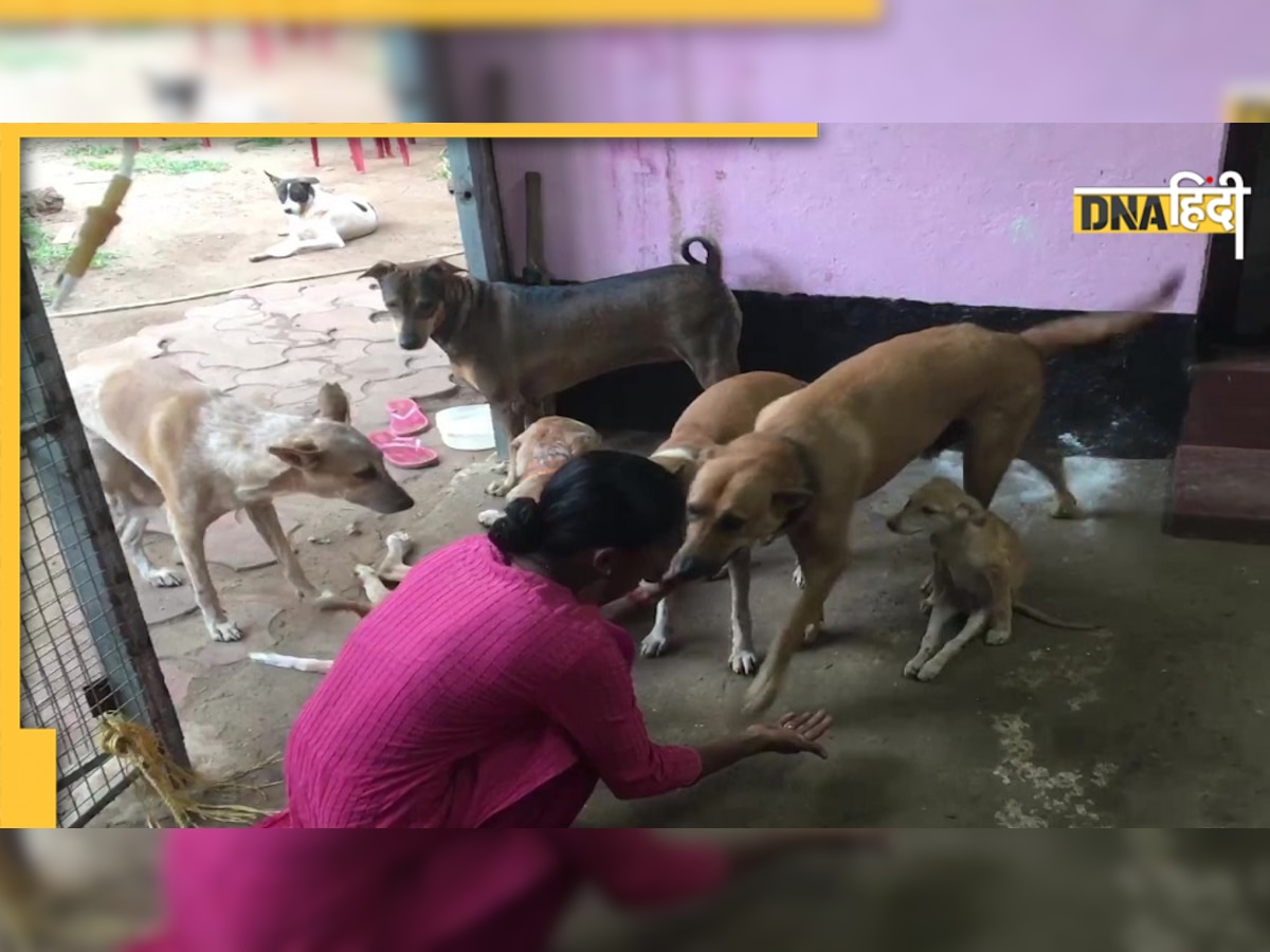 आवारा कुत्तों से जुड़े मामले पर सुप्रीम कोर्ट का सुनवाई से इनकार, Dog Lovers पर की ये टिप्पणी 