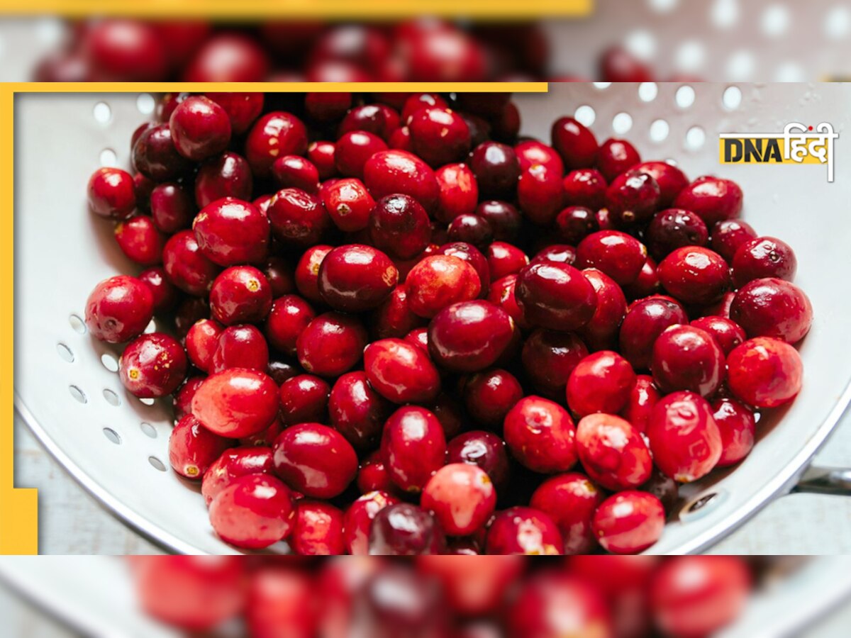 Cranberry Benefits: क्रैनबेरी खाने से कम होता है सर्वाइकल कैंसर का खतरा, डायबिटीज के मरीज भी खाएं 