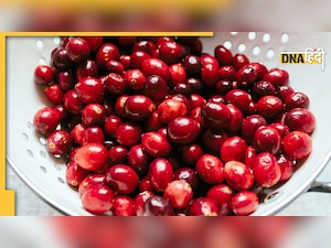 Cranberry Benefits: क्रैनबेरी खाने से कम होता है सर्वाइकल कैंसर का खतरा, डायबिटीज के मरीज भी खाएं 