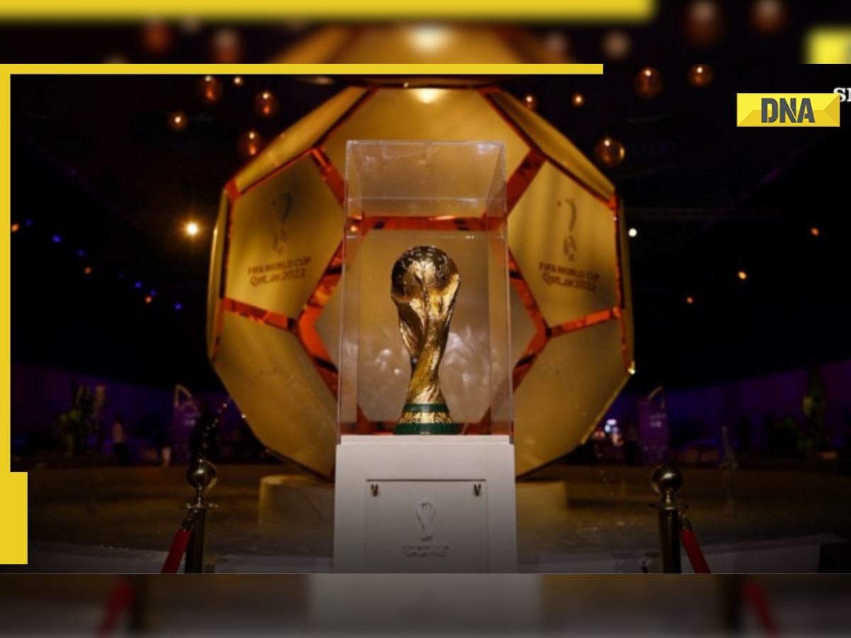 FIFA World Cup 2022: Here's how much prize money the winners and runners-up  of the tournament will take home