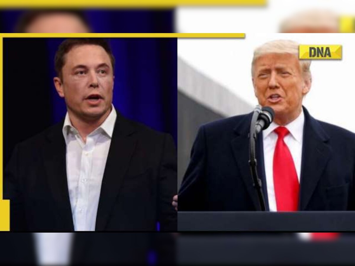 Elon Musk reinstates former US President Donald Trump on Twitter