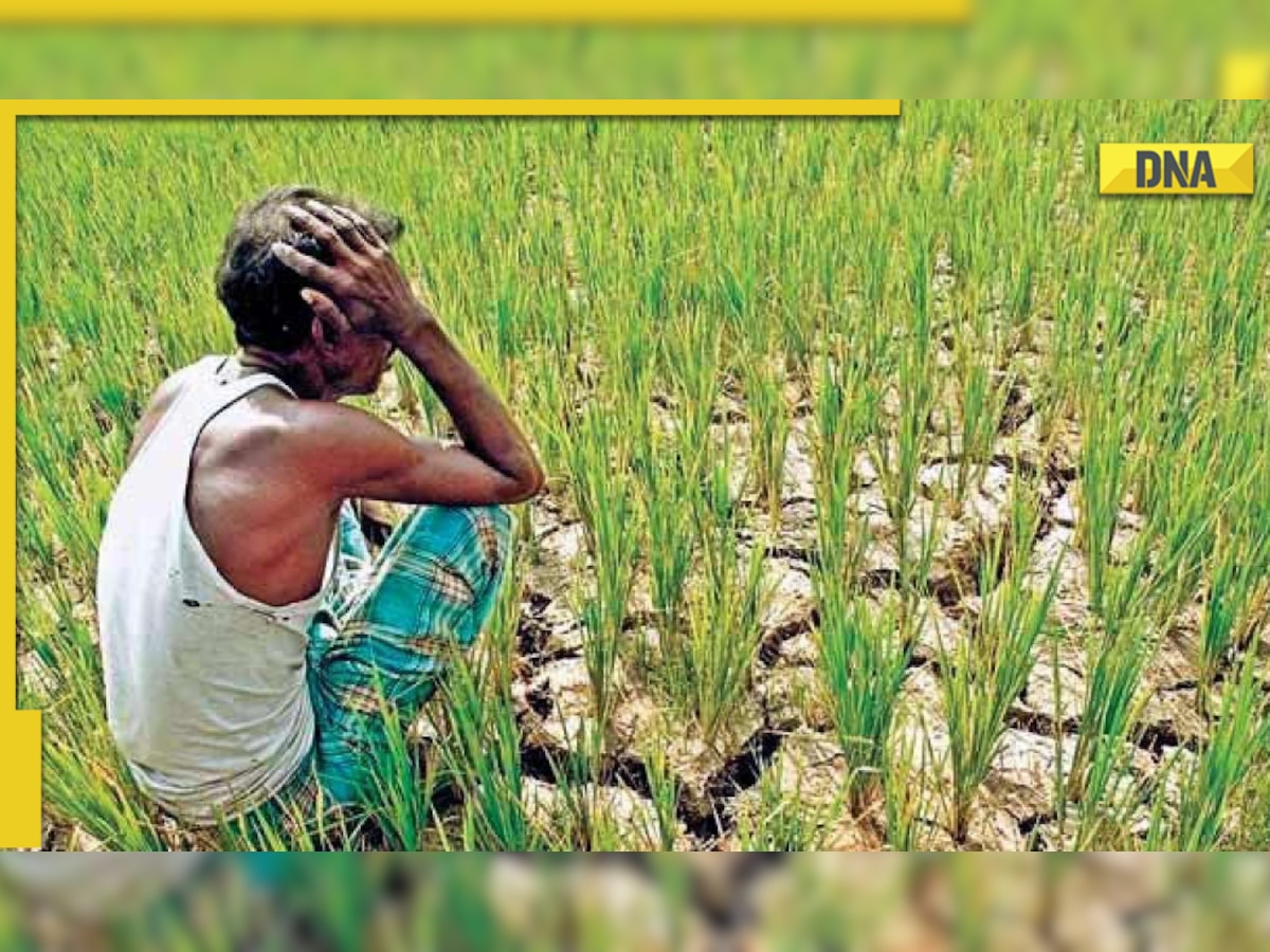 PM Kisan Samman Nidhi: 11th instalment of funding has fallen by 67%, says reports