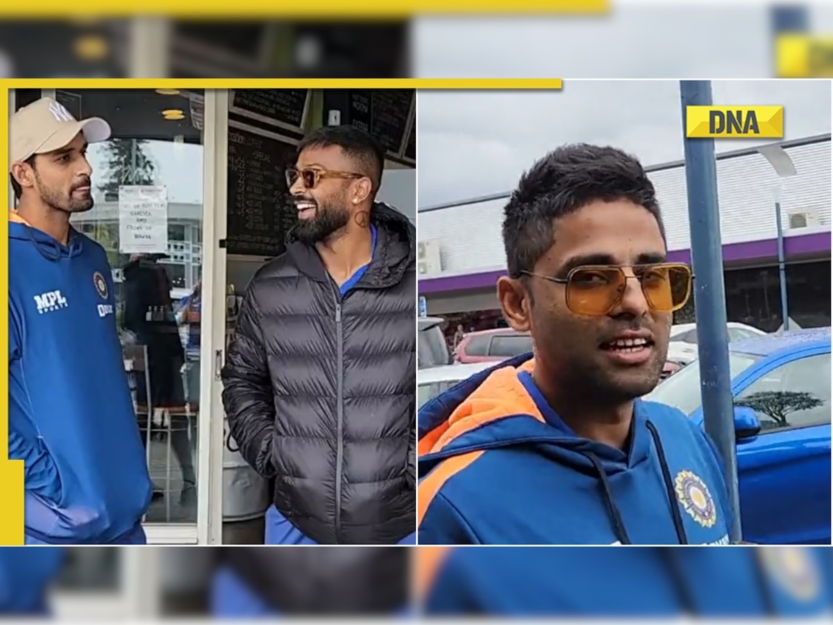 IND vs NZ: Hardik Pandya, Suryakumar Yadav enjoy 'scenic routes' in Napier, ahead of 3rd T20I 