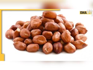 Peanut Myths and Facts: कोलेस्ट्रॉल हो हाई तो मूंगफली खाएं या नहीं?  जानिए क्या है सच्चाई
