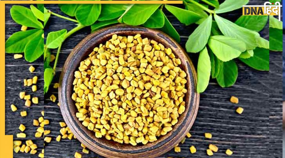 Fenugreek Side Effects इन 4 बीमारियों में मेथी खाना होता है बेहद