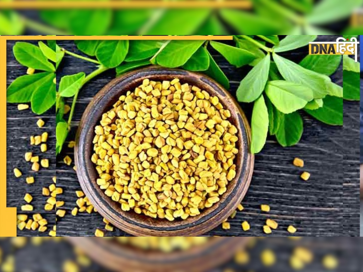 Fenugreek Side Effects: इन 4 बीमारियों में मेथी खाना होता है बेहद नुकसानदायक, साग से लेकर दाने तक से करें परहेज