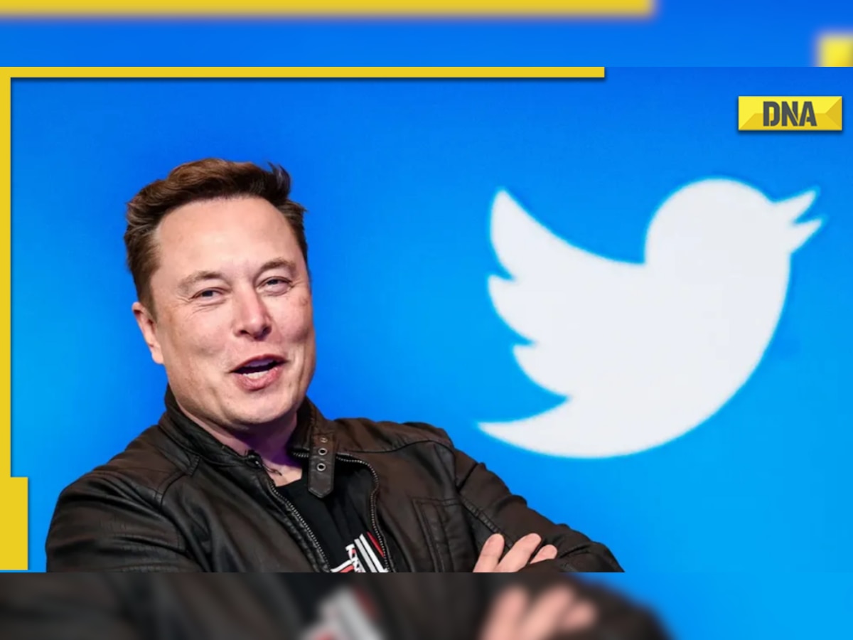 'Holding off': Elon Musk on Twitter Blue verified badge