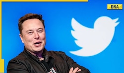 'Holding off': Elon Musk on Twitter Blue verified badge