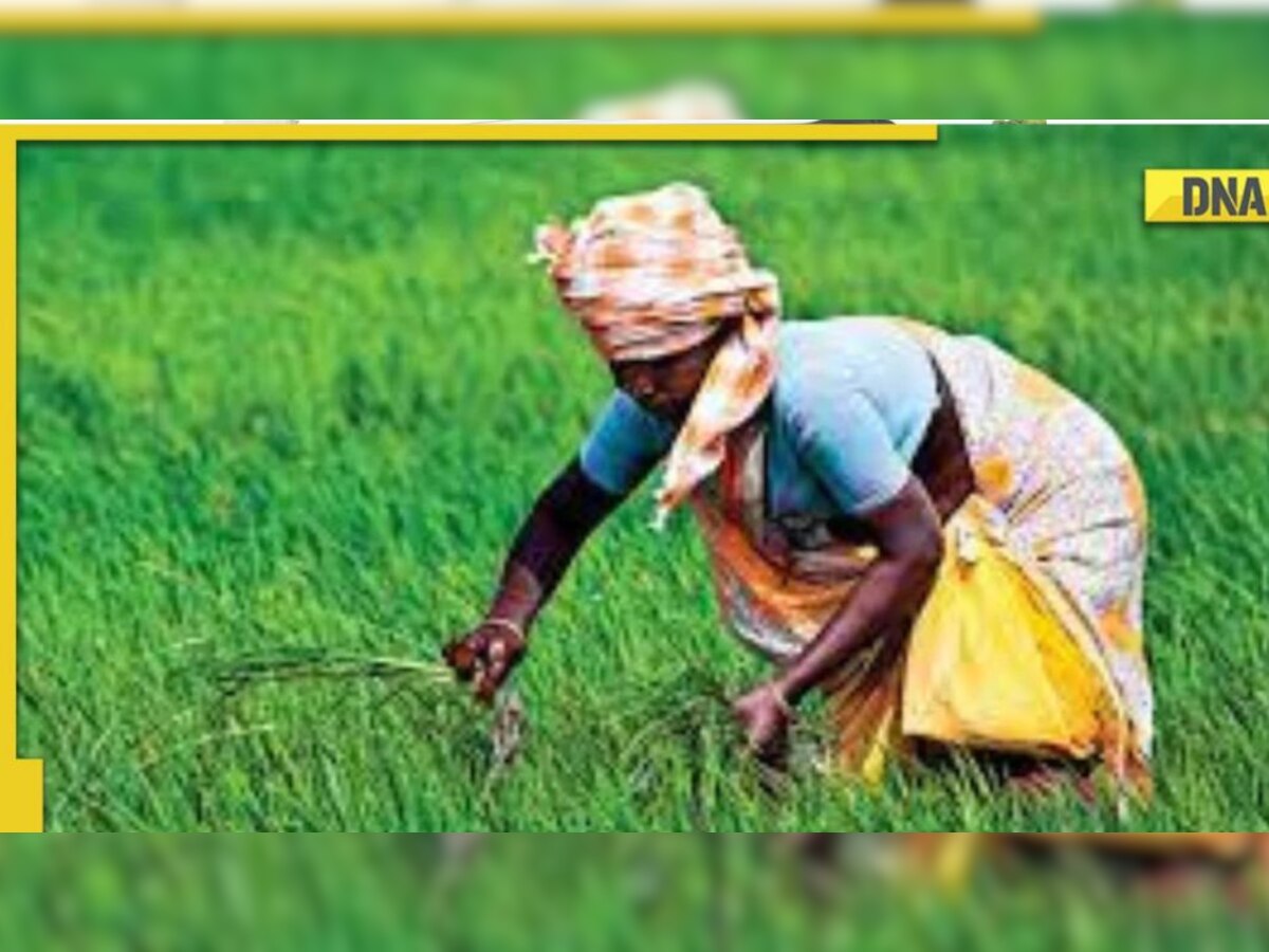 Kisan Credit Card: RBI approves interest subsidies under KCC loans until March 2024