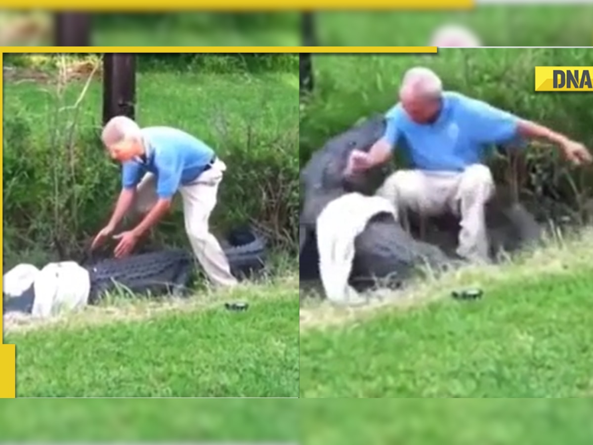 Alligator almost bites off man's hand in horrifying viral video, internet reacts