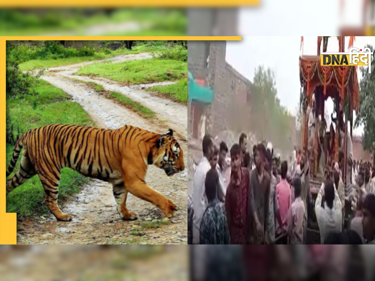 Madanpur Devi Temple: देवी के इस मंदिर में हर रात दर्शन के लिए आता है बाघ, पिंडी रूप में विराजमान हैं मां भगवती 