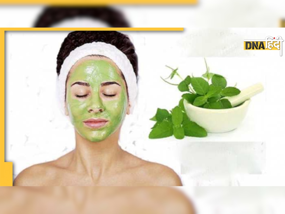 Skin Care Tips: चेहरे से दाग-धब्बे हो जाएंगे गायब, लगाएं तुलसी से बना फेस पैक- विधि 