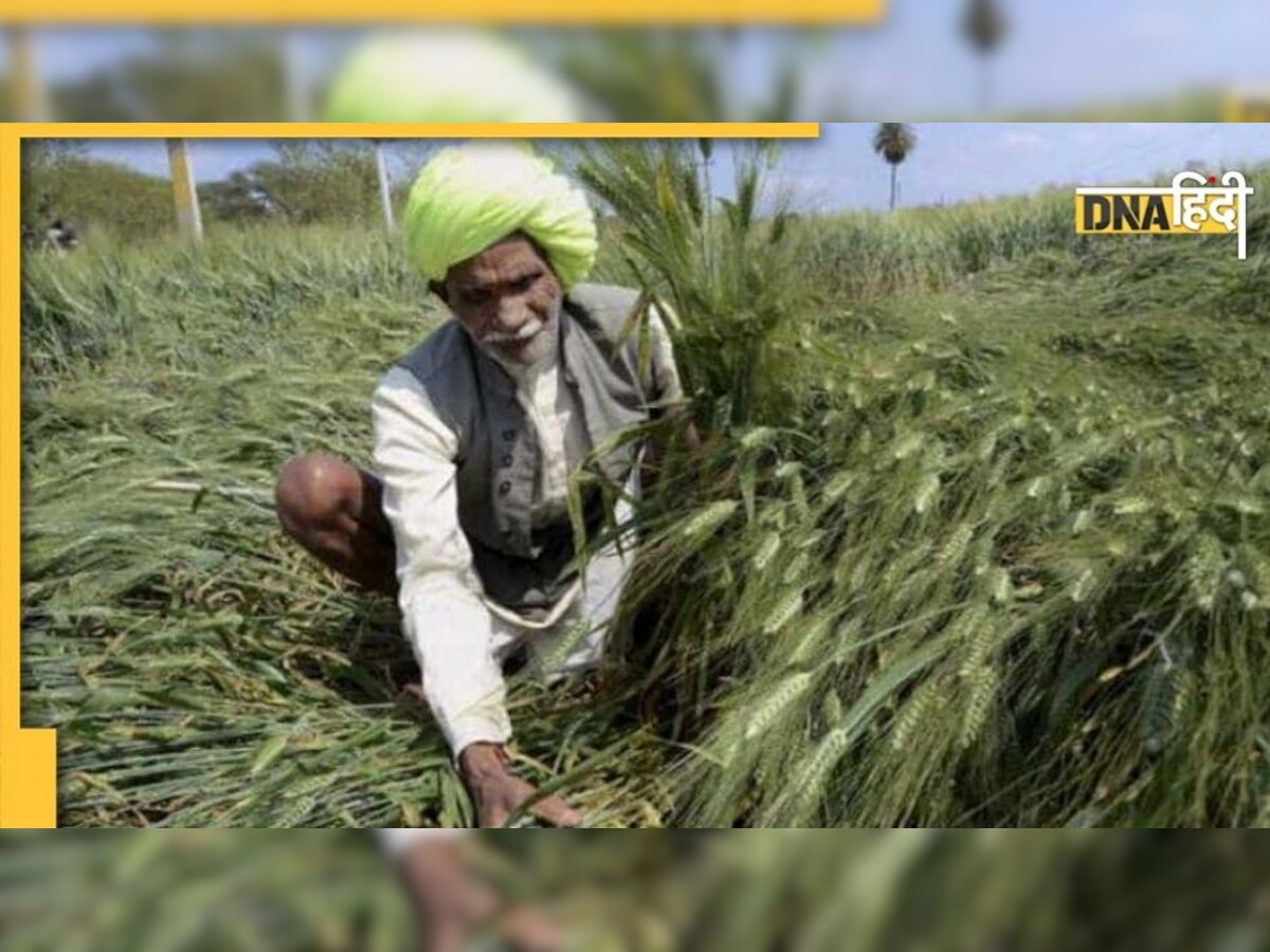 Climate Change का बढ़ रहा खतरा, प्रधानमंत्री फसल बीमा में बदलाव को लेकर तैयार केंद्र, क्या किसानों को मिलेगा फायदा?