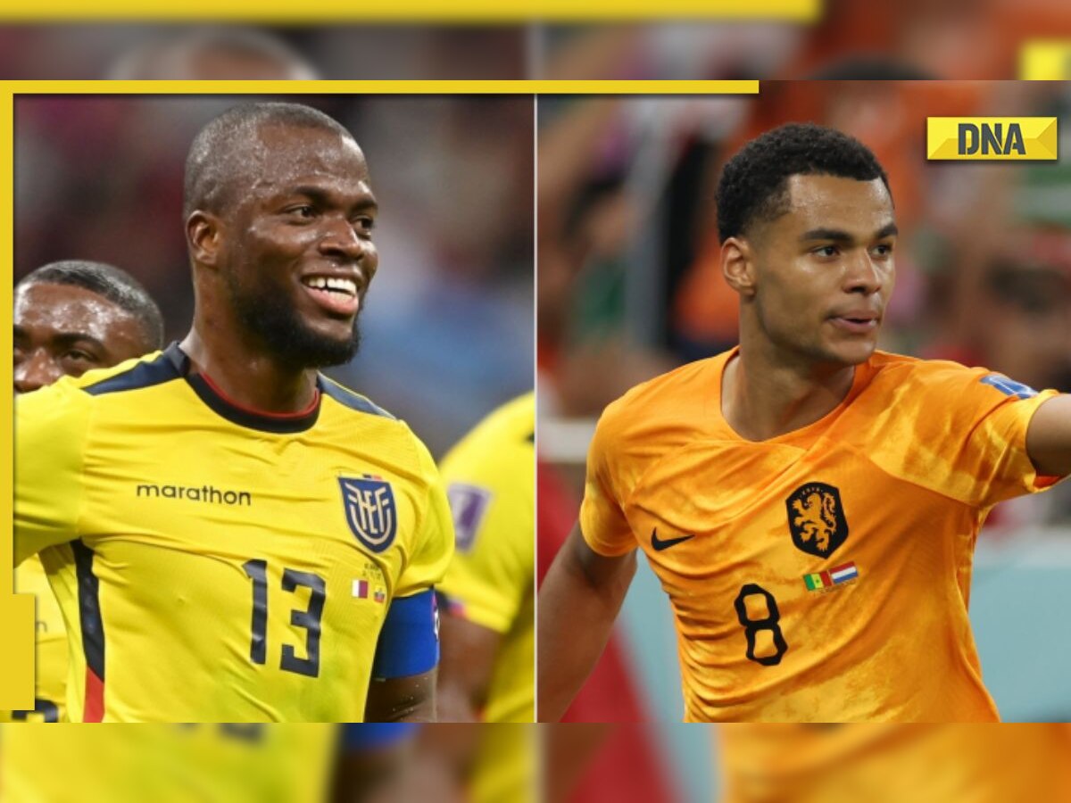 NED vs ECU FIFA World Cup 2022 match highlights: Qatar are OUT as Netherlands, Ecuador play out a 1-1 draw in Group A 