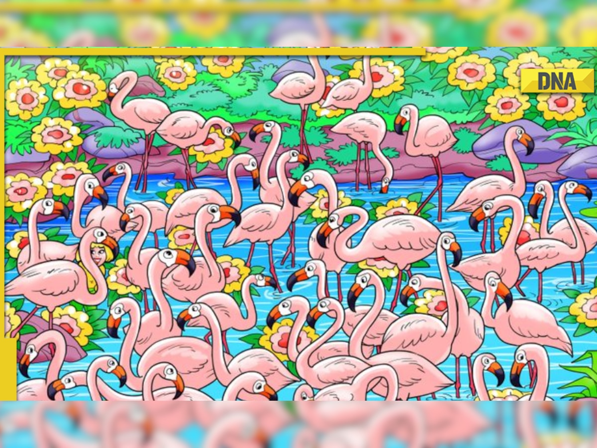 Optical Illusion: Only a genius can spot the girl hidden among the birds