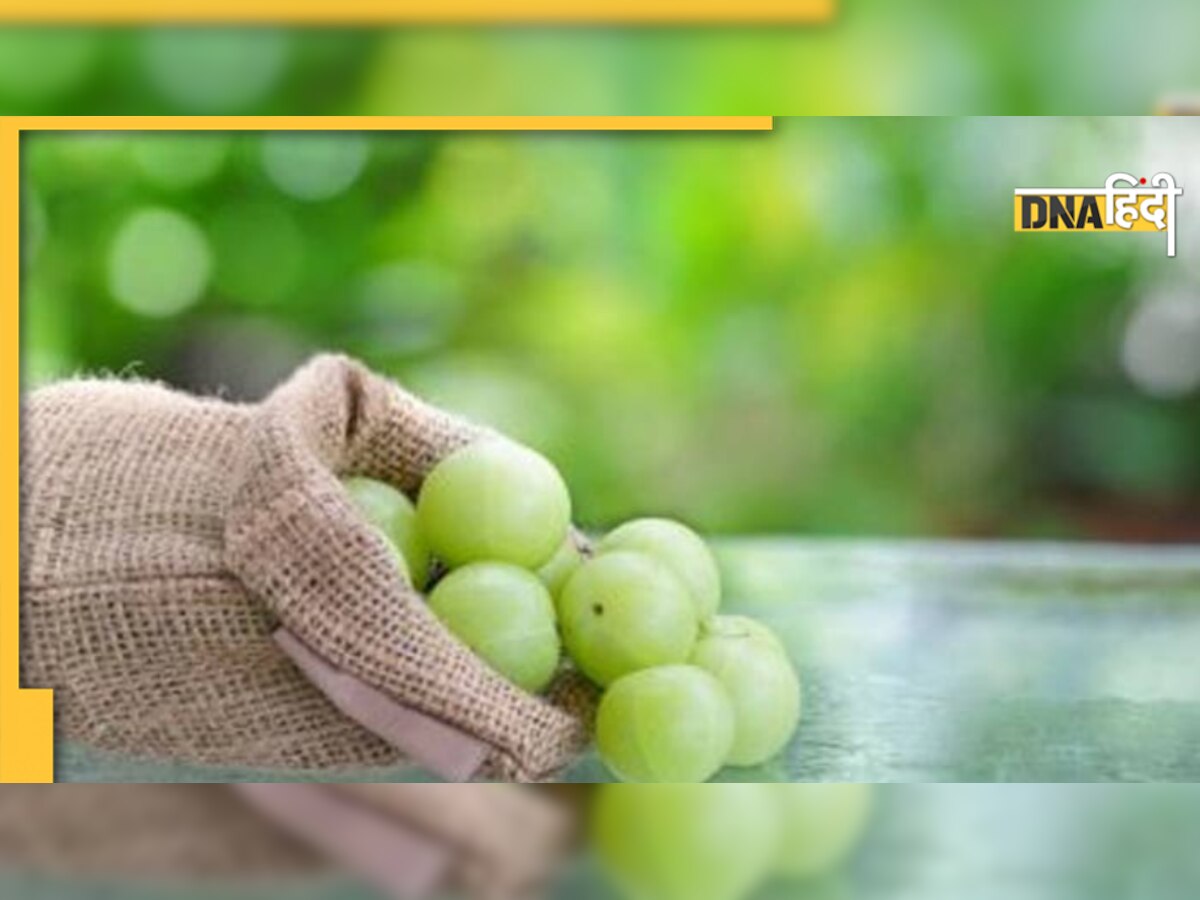 Amla Water Benefits: सुबह खाली पेट पिएं इस खट्टे फल का पानी, पिघलने लगेगी चर्बी, डायबिटीज होगी कंट्रोल